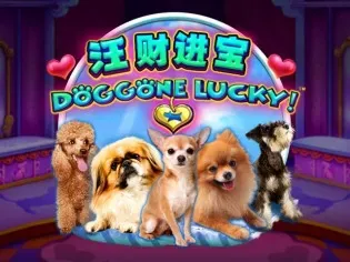 Doggone Lucky screenshot